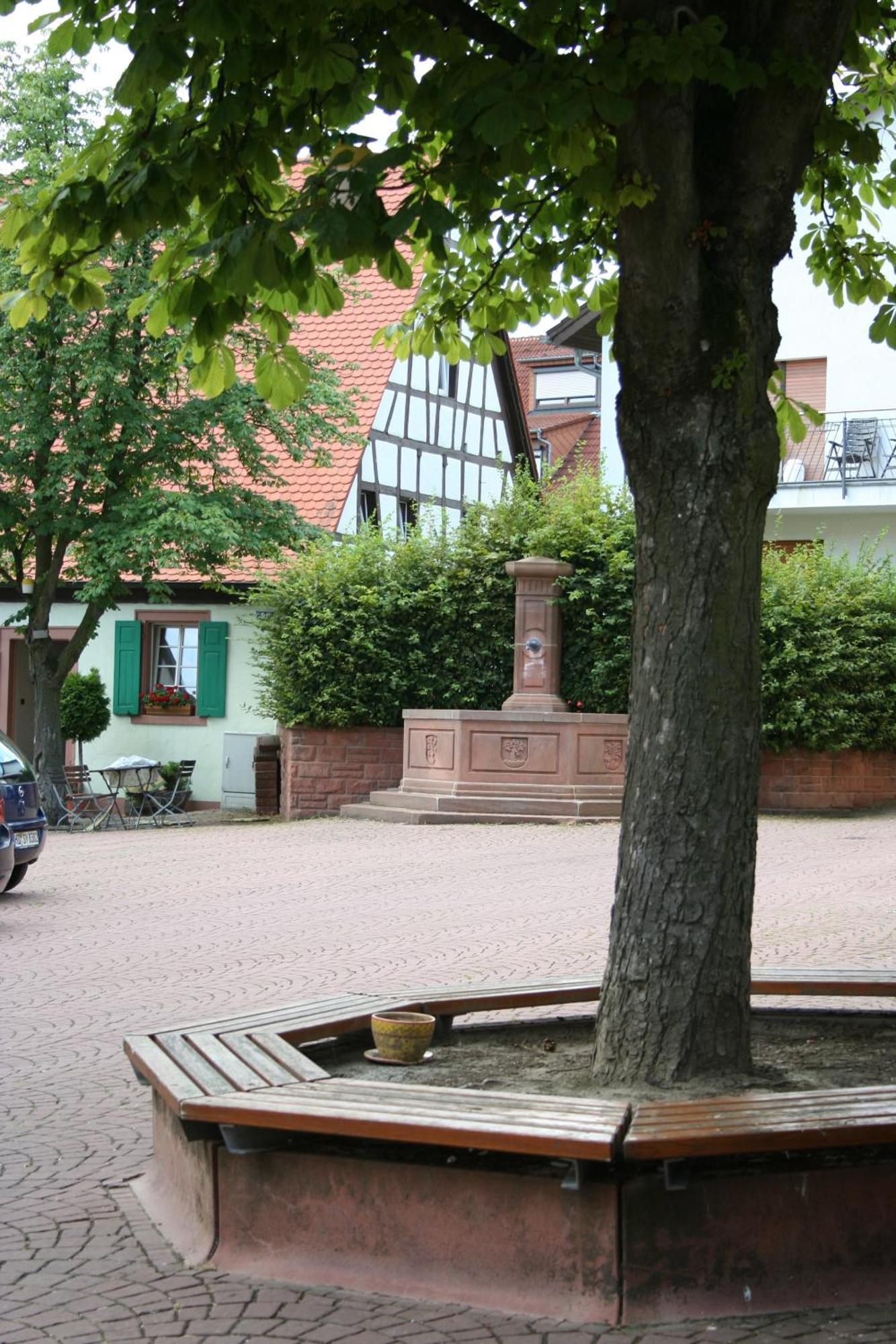 Landhotel Sickinger Hof วัลล์ดอร์ฟ ภายนอก รูปภาพ
